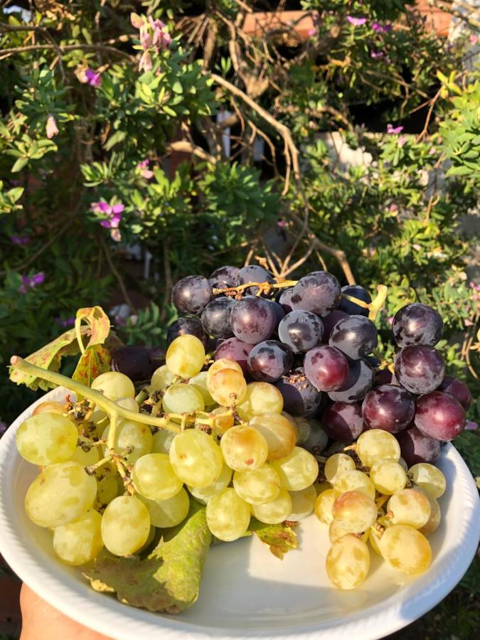 Agriturismo Is Cortillaris Càbras المظهر الخارجي الصورة